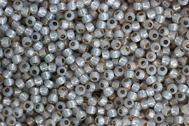 RD11 - PF2101
