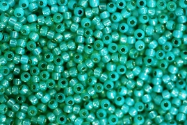 RD11 - PF2103