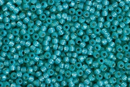 RD11 - PF2119