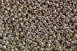 RD11 - PF558